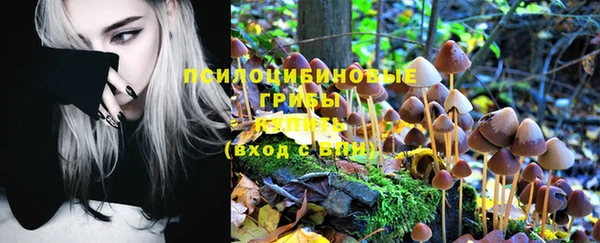гашиш Михайлов