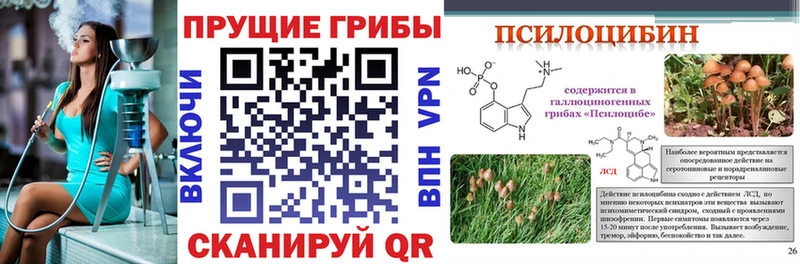 Галлюциногенные грибы MAGIC MUSHROOMS Опочка