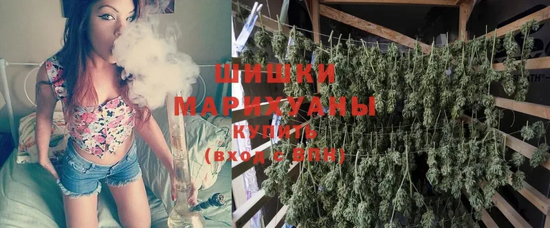 Бошки марихуана THC 21%  Опочка 